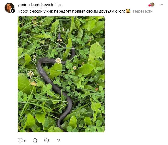 нарочанский передает привет.jpg