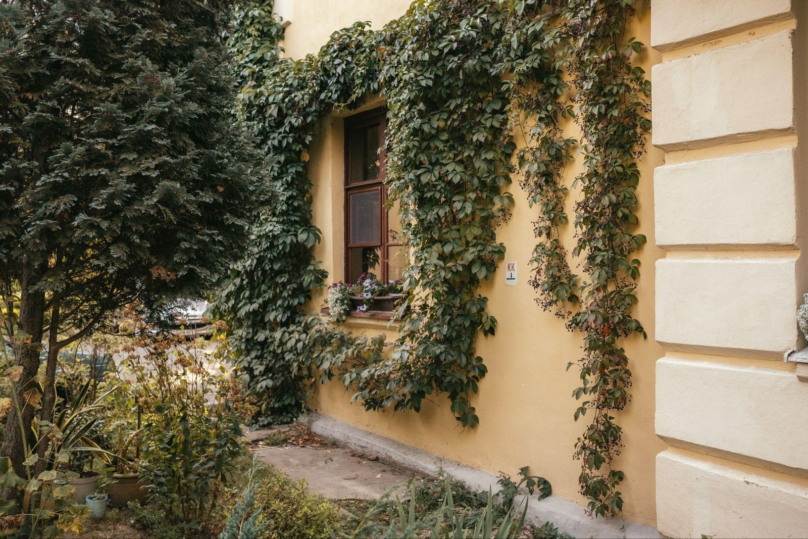 13-Уютный и зеленый двор Осмоловки.jpg