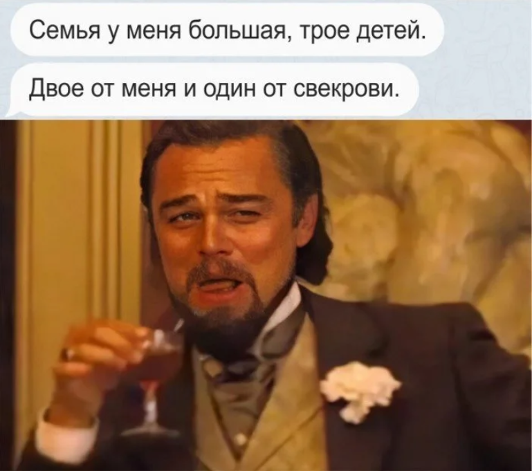 семья у меня большая