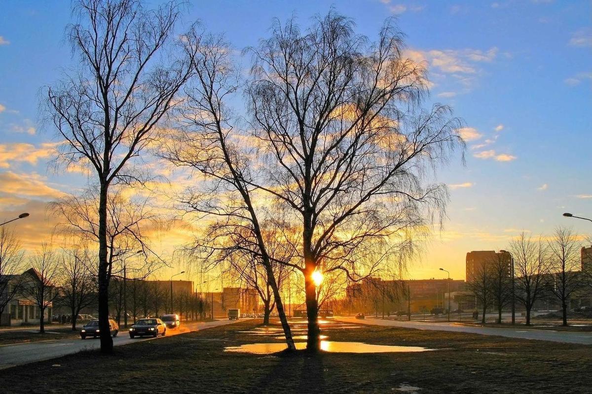 утро в декабре