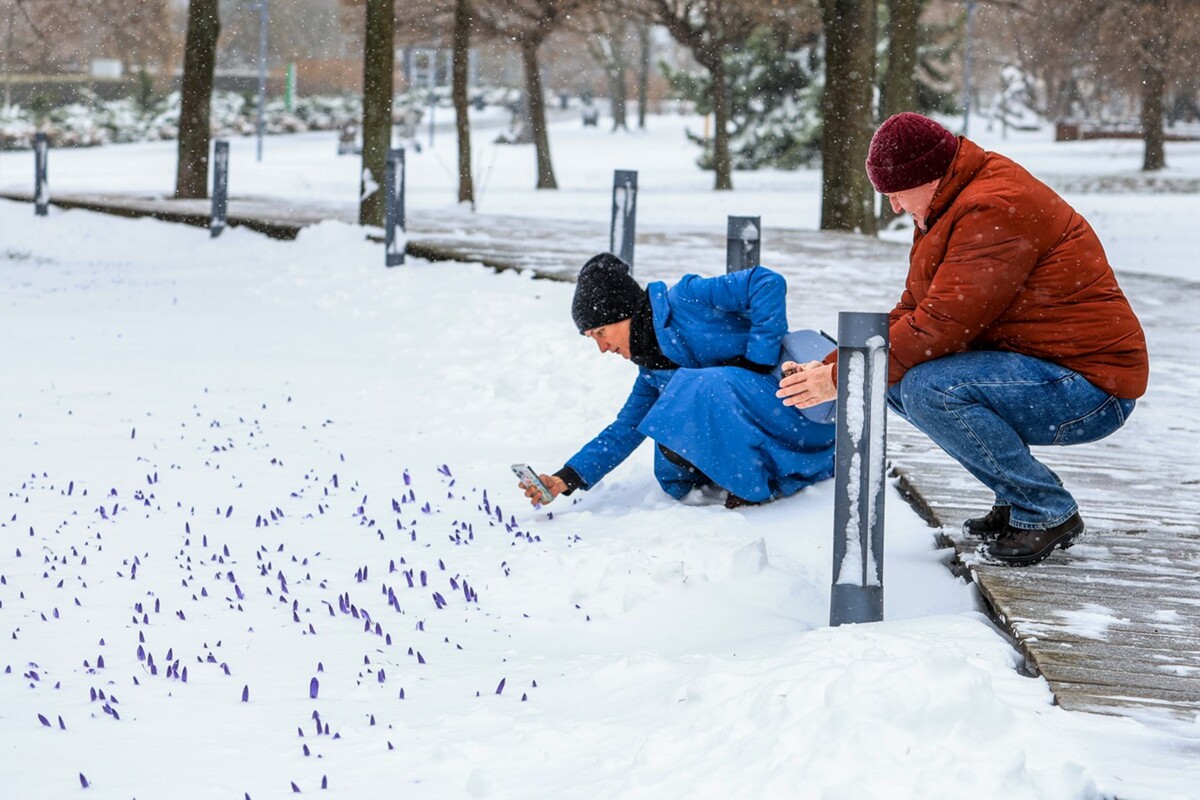 снег в апреле