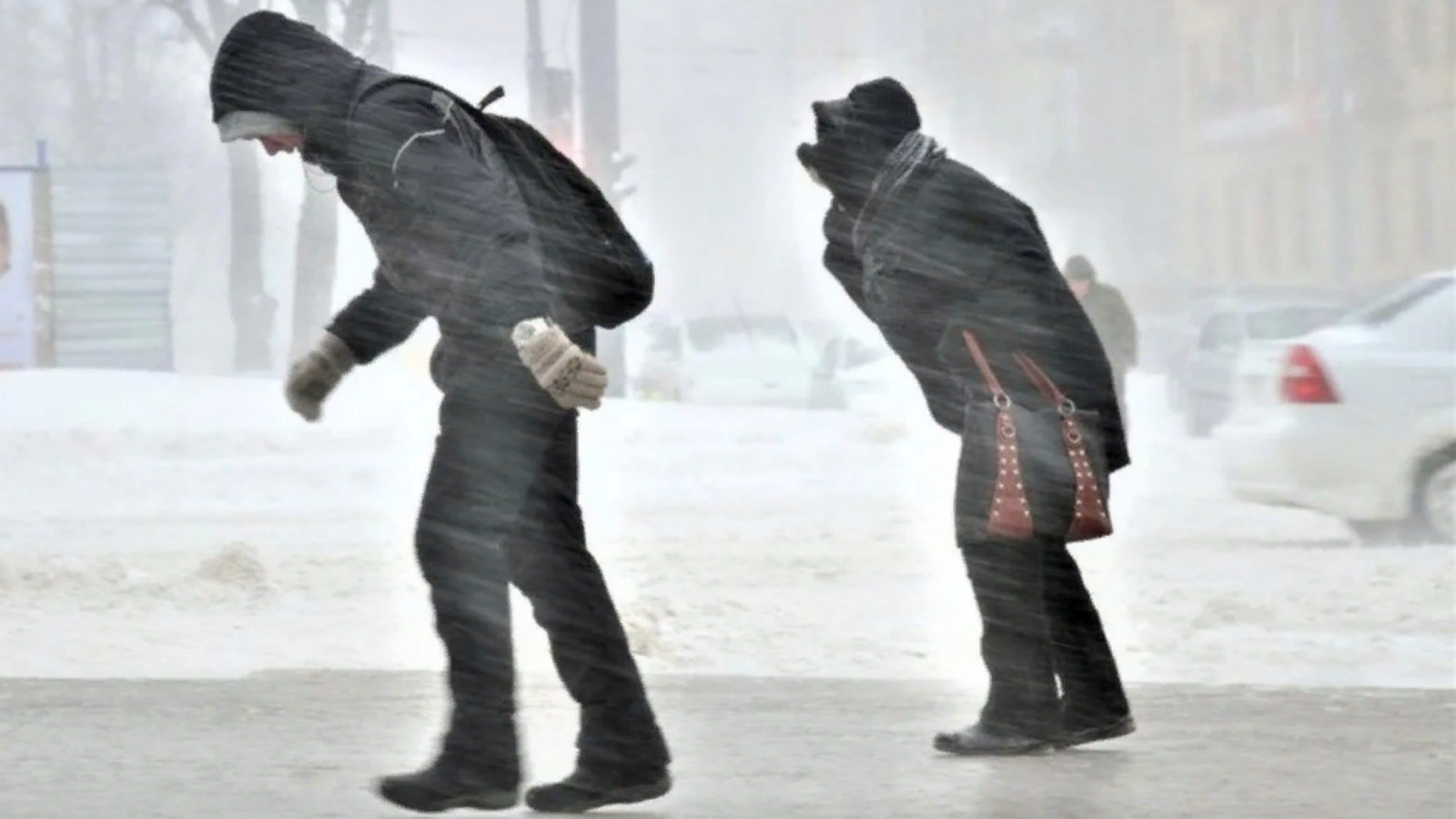 люди идут при метели и очень крепком ветре
