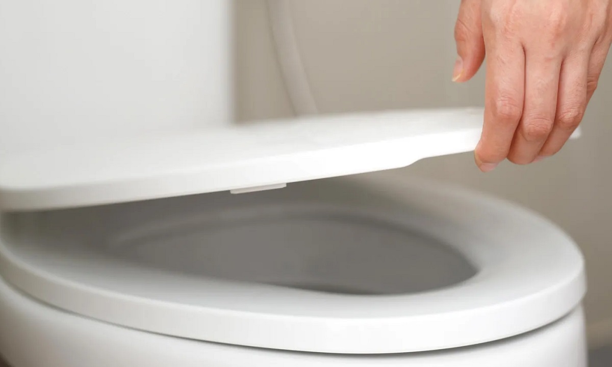 сидение унитаза