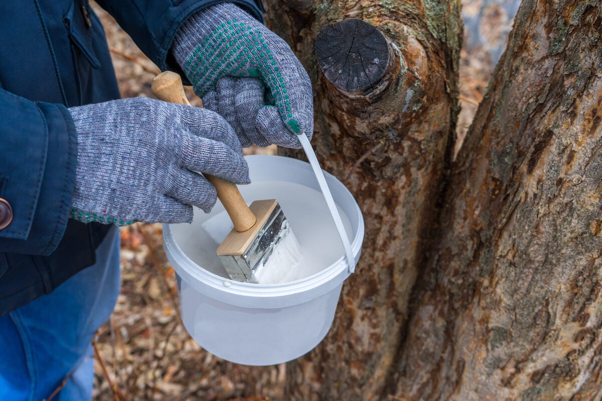 побелка 1.jpg