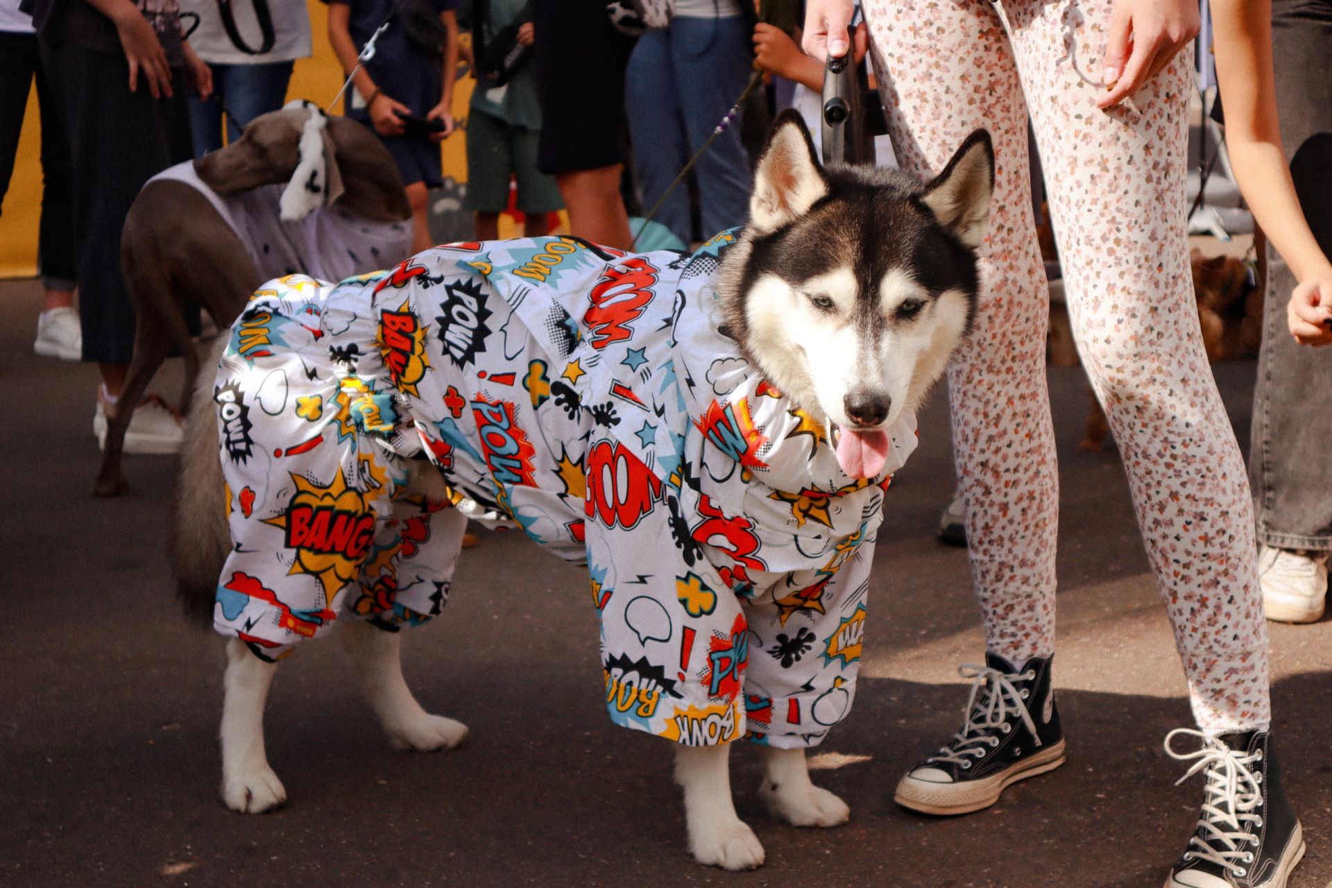 Зоофест 6.jpg