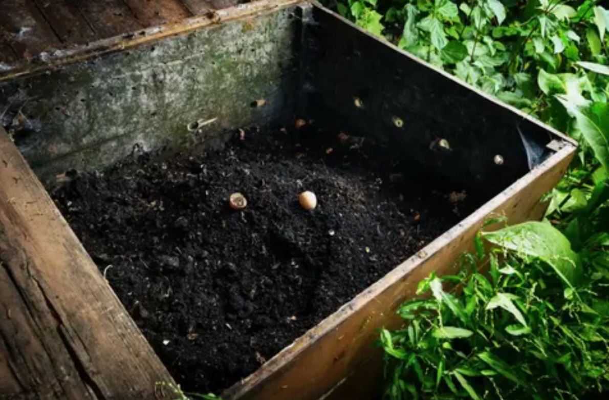 компост 2.jpg