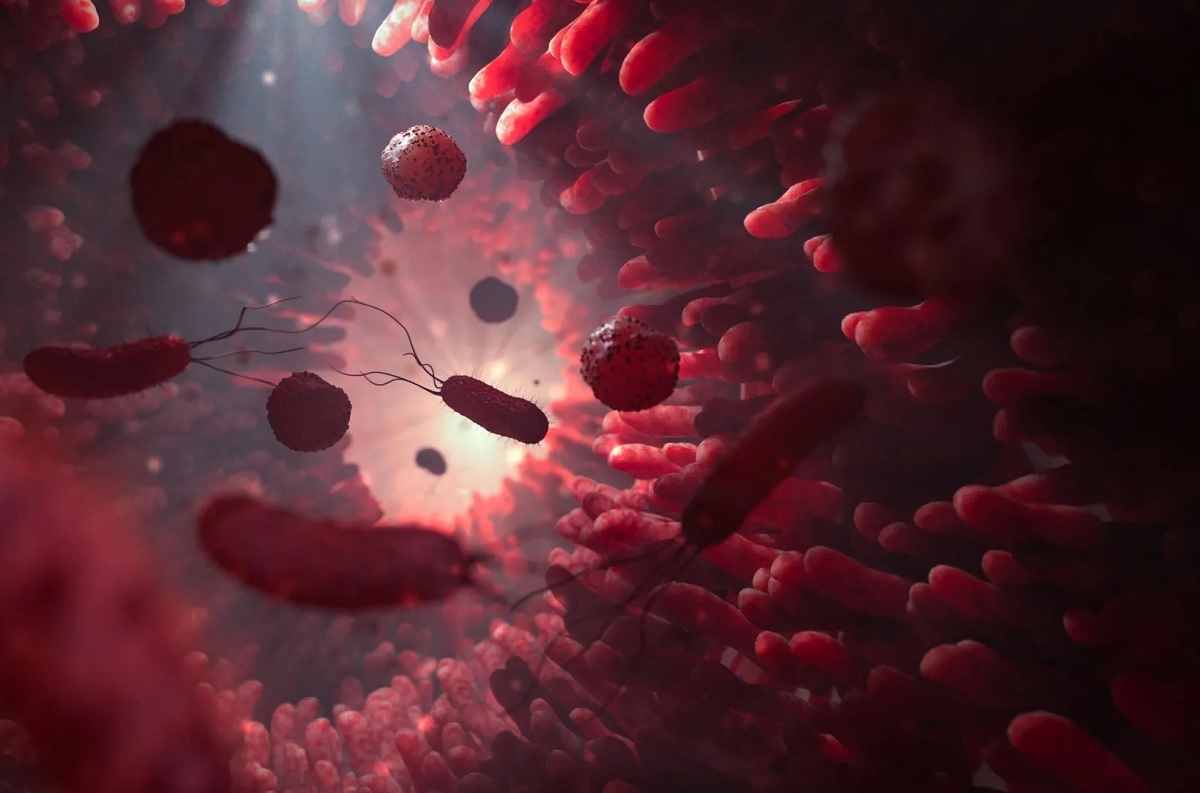 Новый антибиотик под названием EVG7 может победить стойкие инфекции