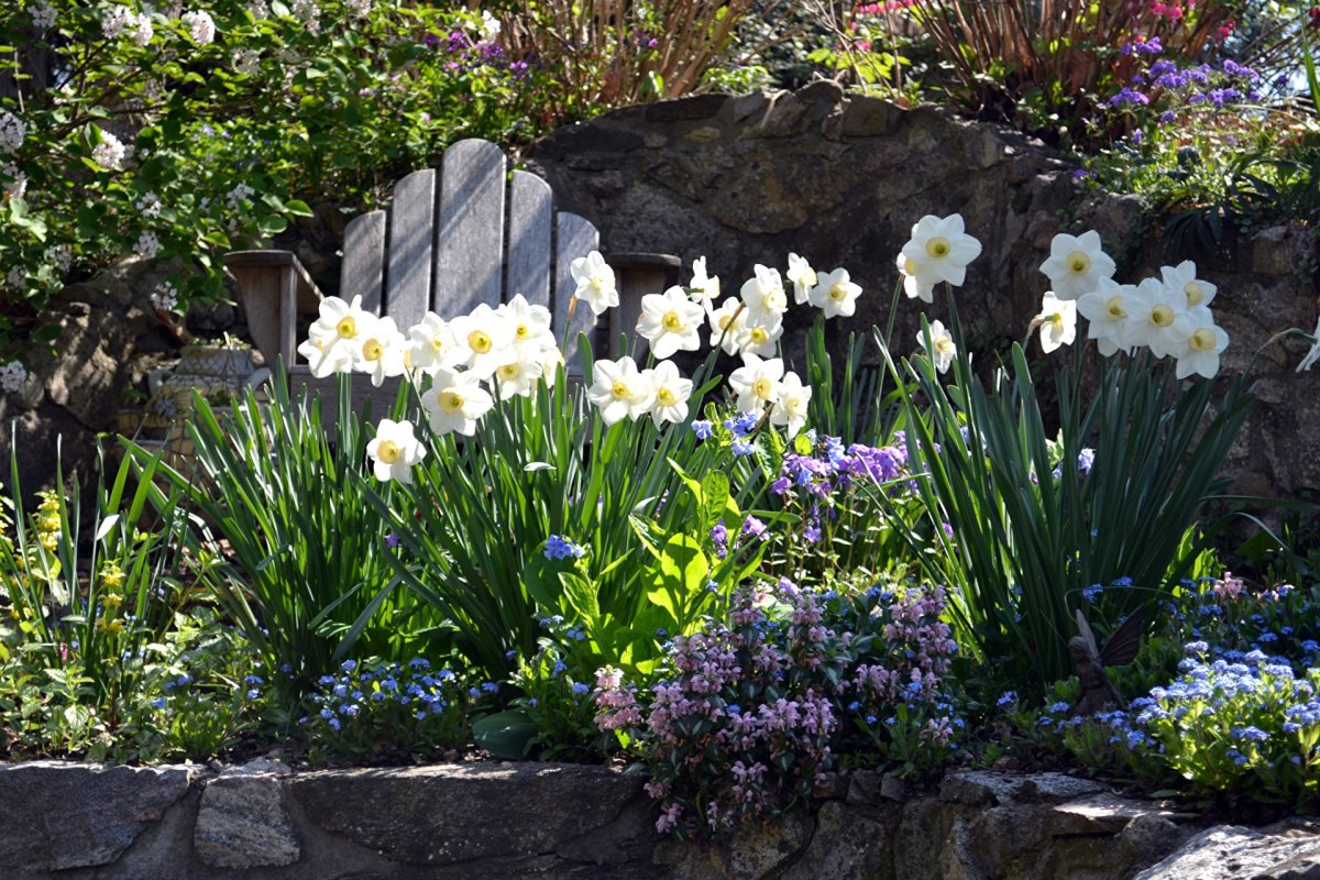 цветы цветы2.jpg