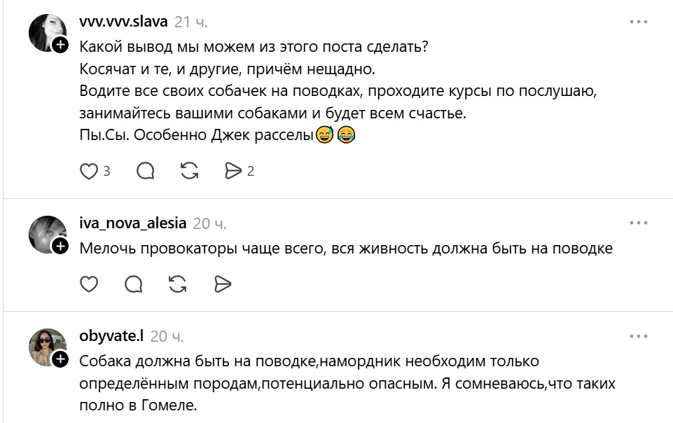 собака должна быть на поводке