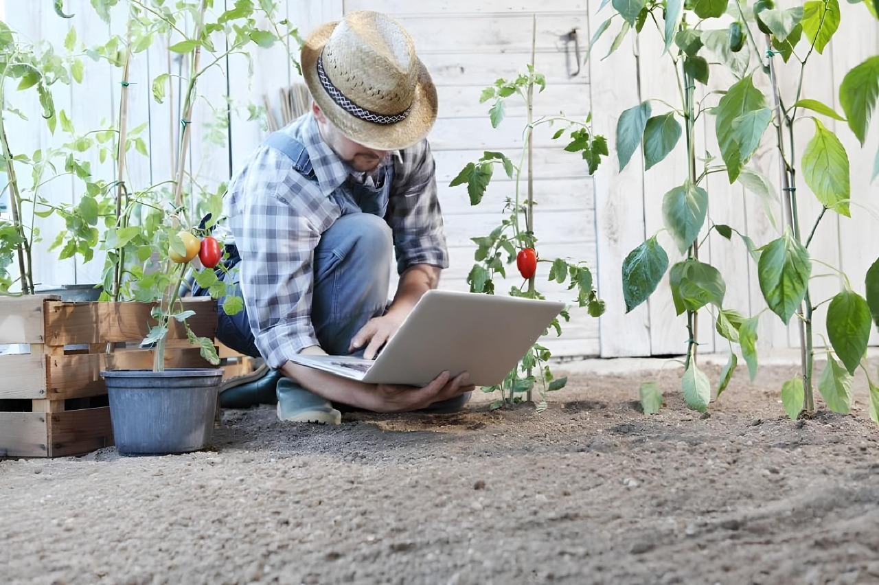 планирование посадок DeWatermark.ai_1761729722076.jpeg