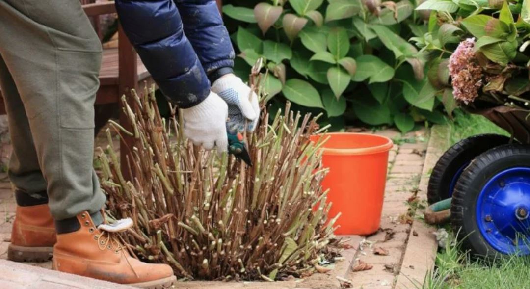 работа на участке