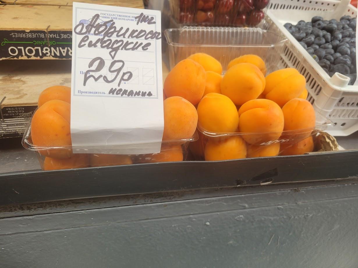 image13.jpg