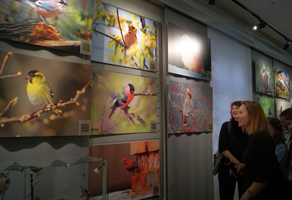 выставка 5.jpeg