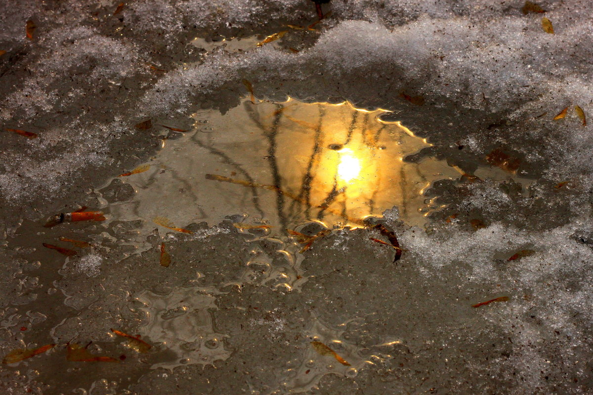 слякоть и солнце