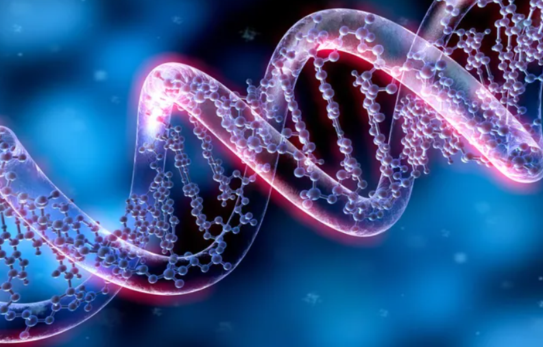 165 лет назад Дарвин опубликовал книгу, в которой изложил теорию происхождения человека.png 165 лет назад Дарвин опубликовал книгу, в которой изложил теорию происхождения человека.png