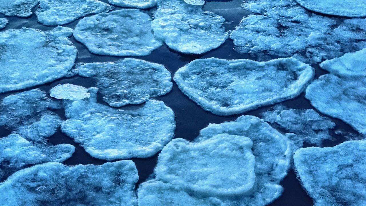 photo_2026-01-05_17-41-09 (3).jpg