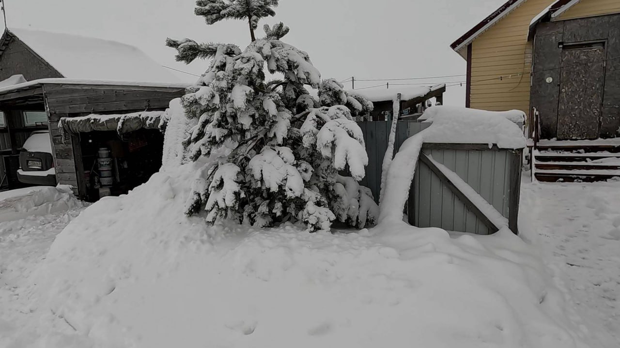 дача в снегу