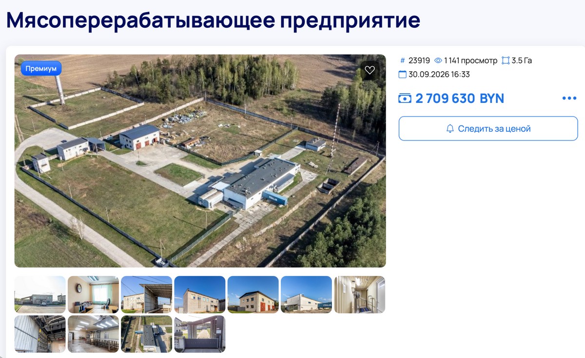 8-Продажа мясоперерабатывающего предприятия.jpg