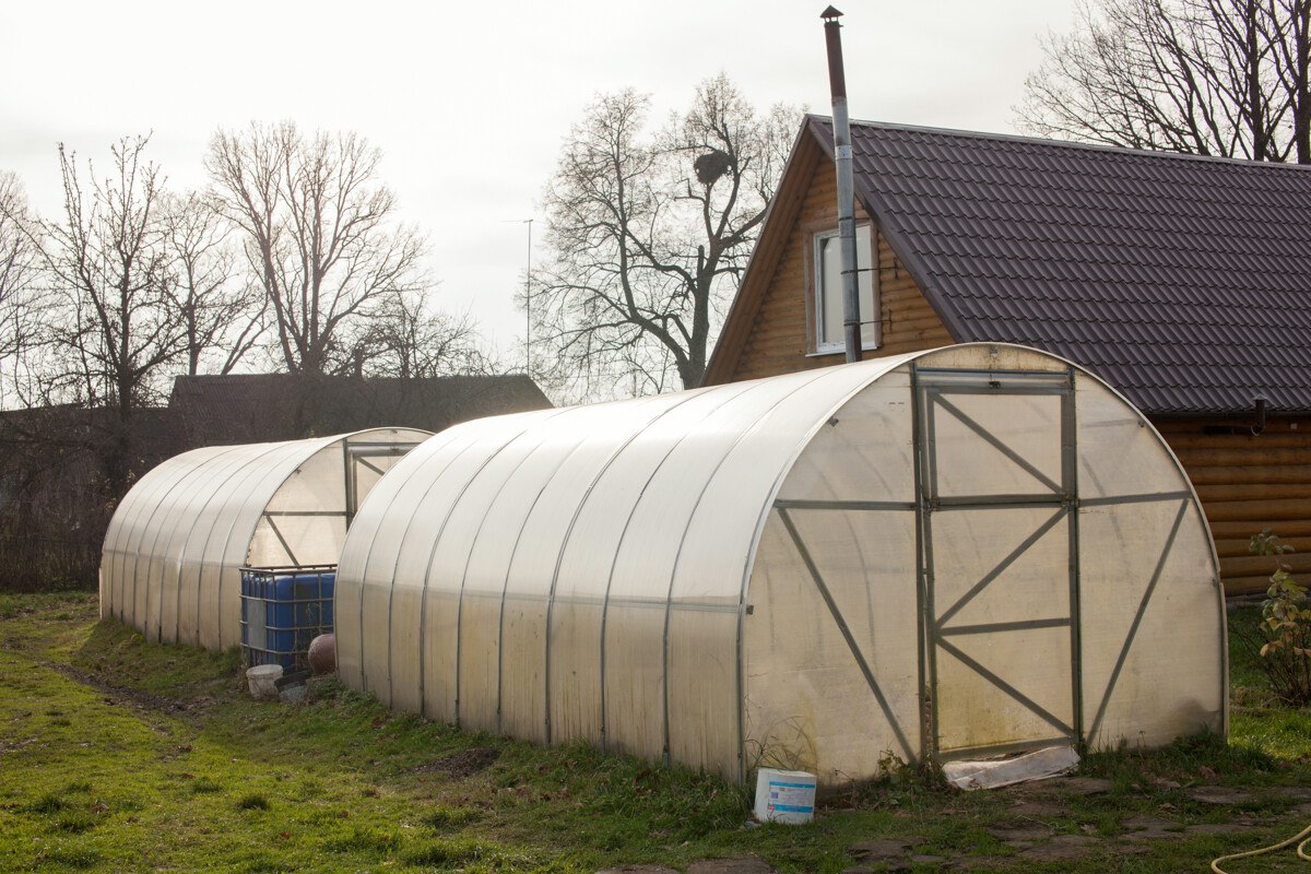 теплица6.jpg