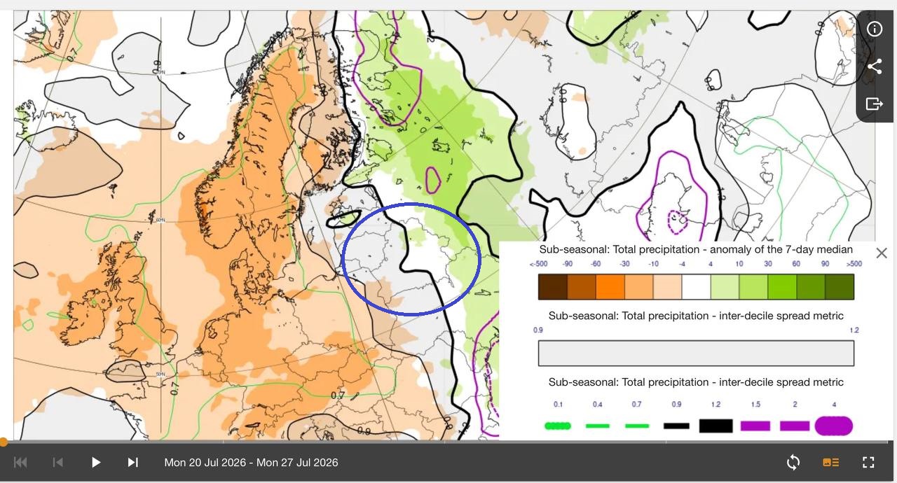 Карта аномалий осадков от ECMWF с 20 по 27 июля