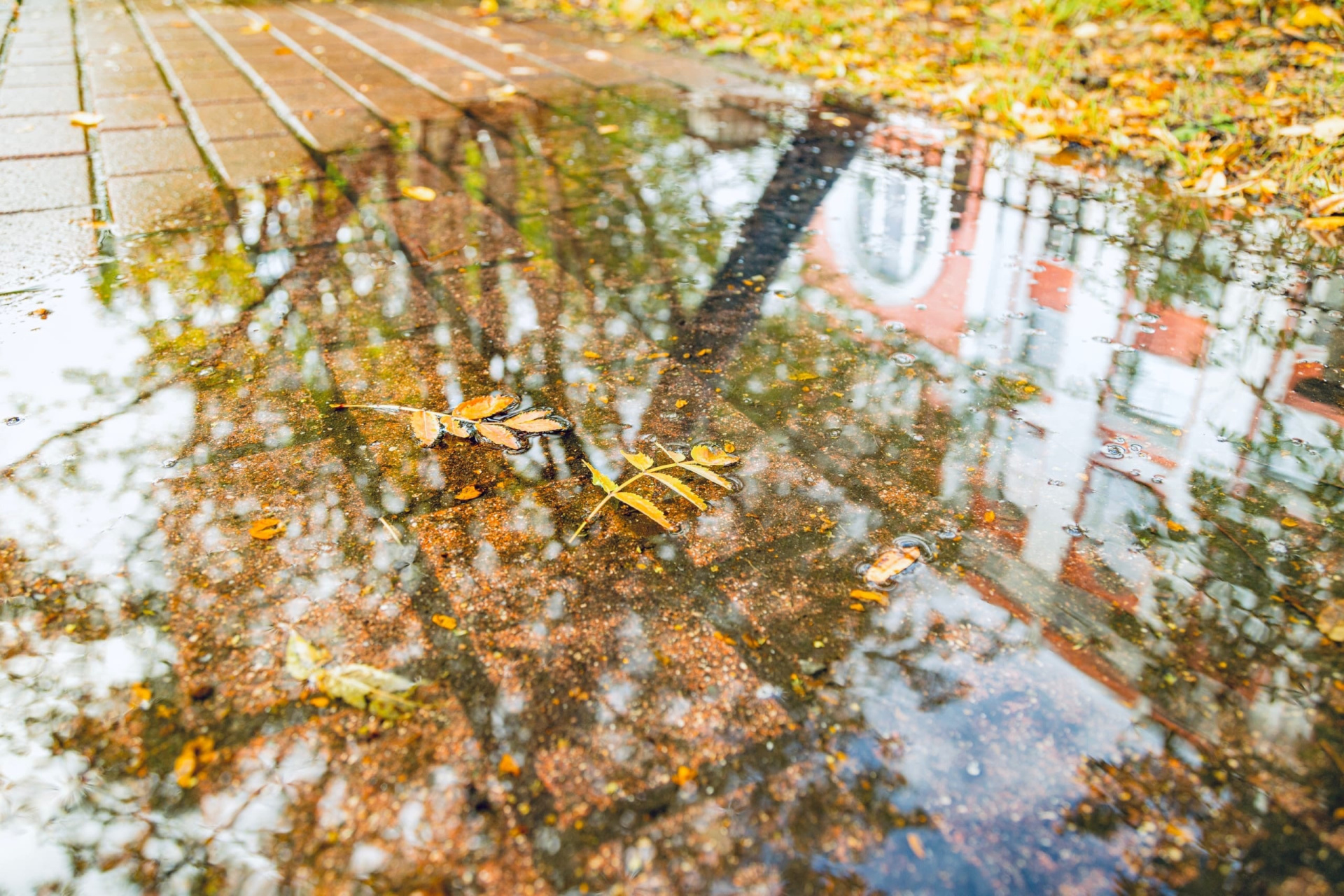 Дождь в сентябре