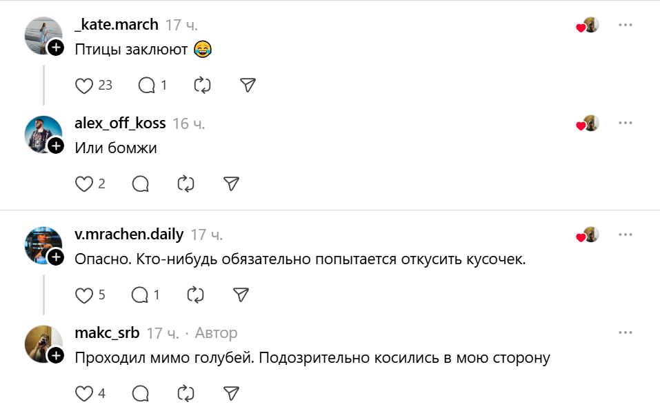 птицы заклюют птицы заклюют