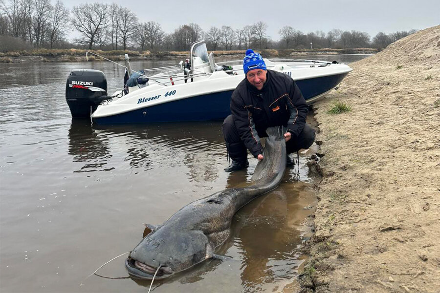 огромный сом.jpg