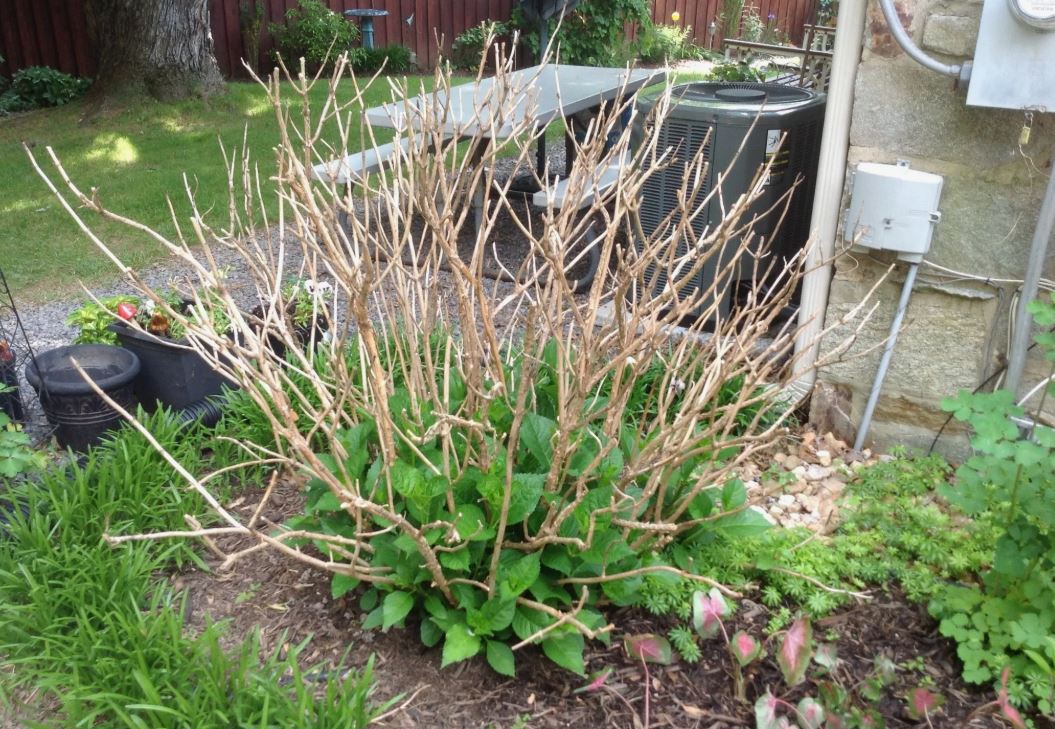 photo_2025-10-29_22-37-18 (3).jpg