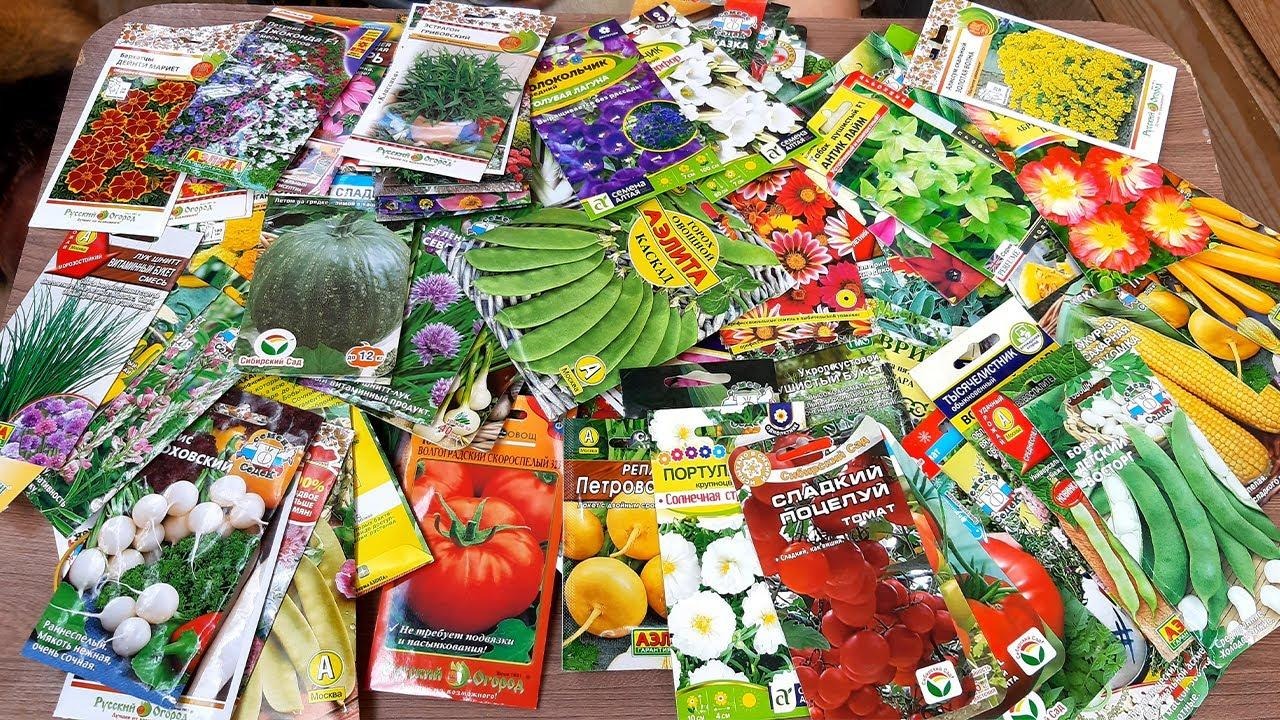 D:\!!!работа\январь\10-11\семена в январе4.jpg