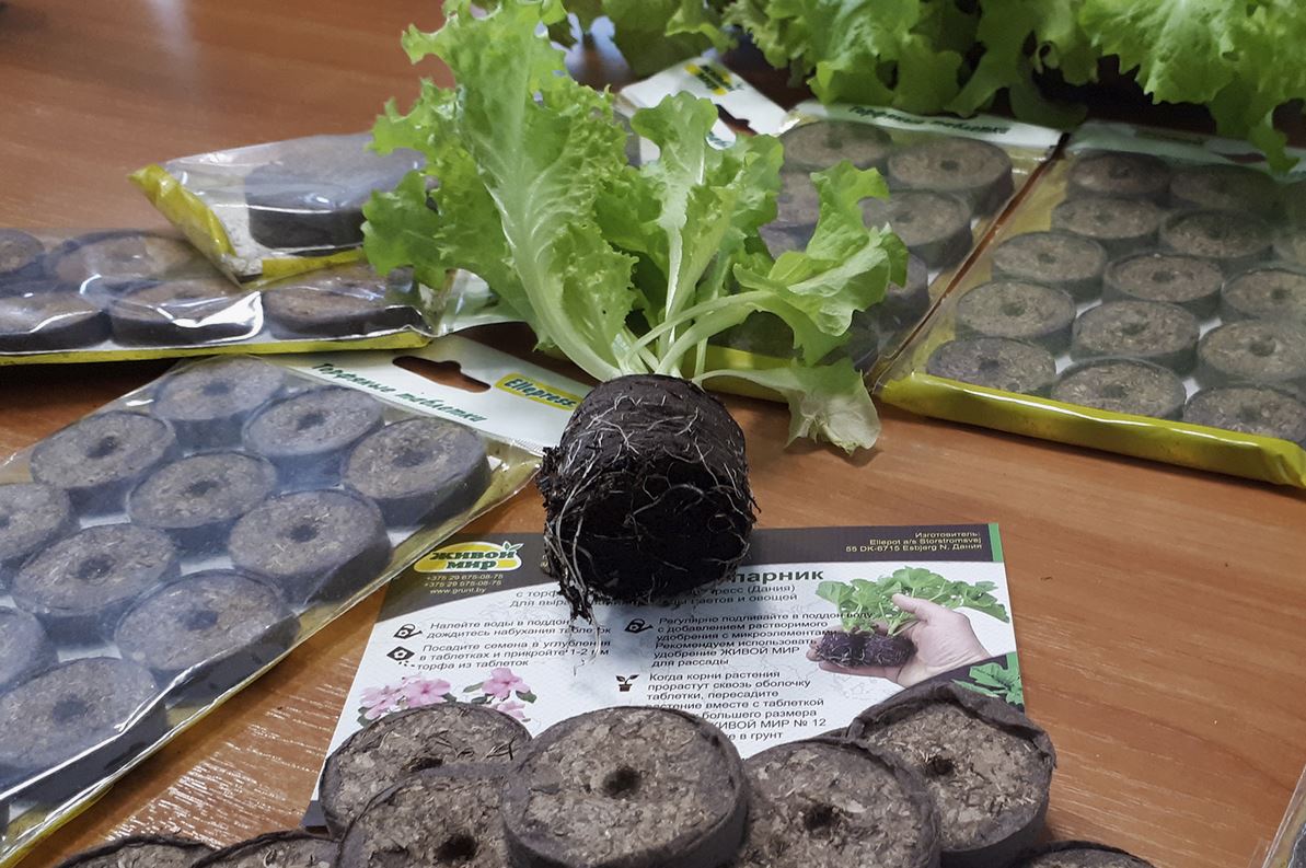 таблетки торф.jpg