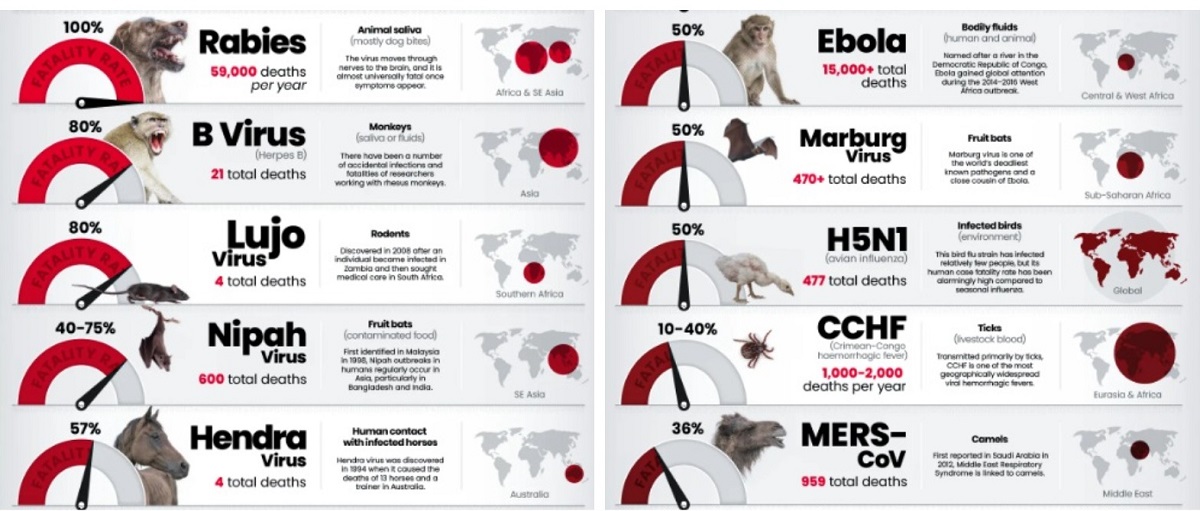 самые смертельные вирусы