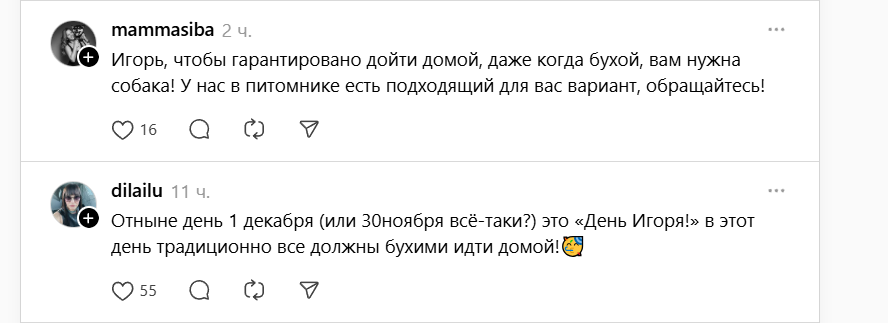 Игорю предложили собаку и День в его честь