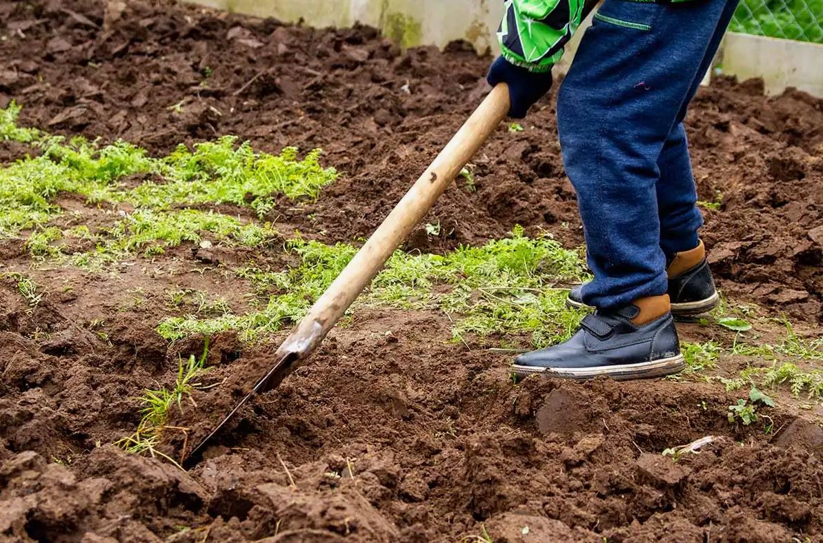 копаем лопатой