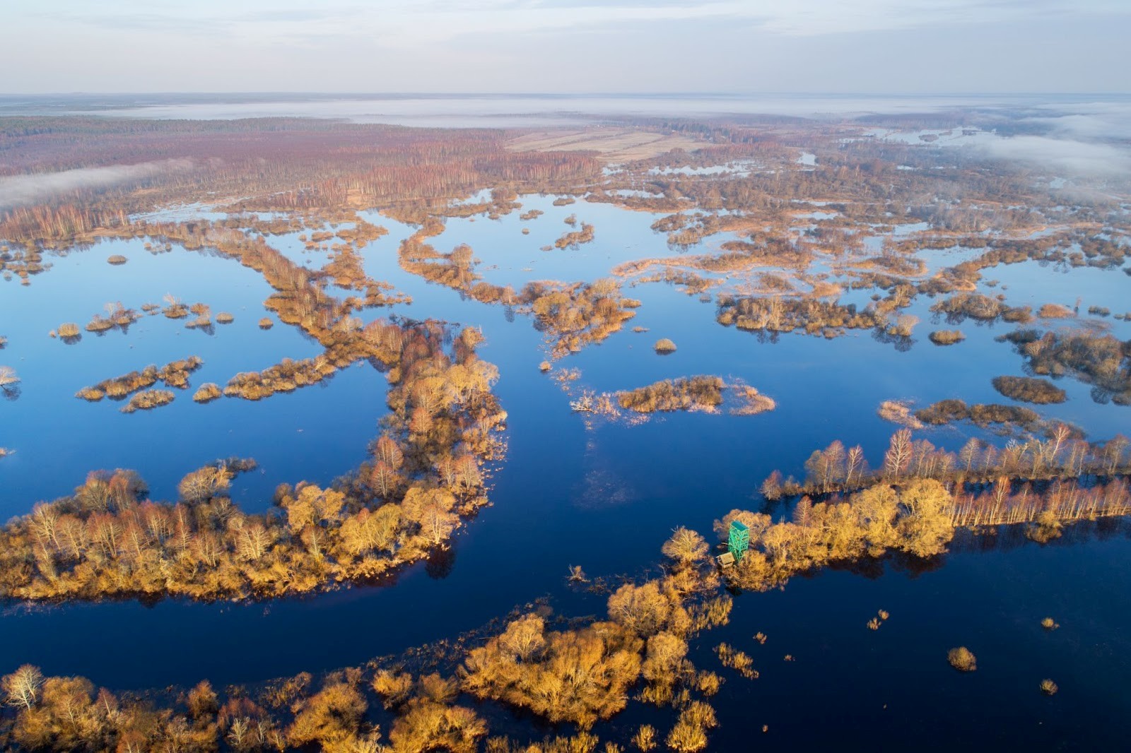 23-Разливы реки Березины в урочище Залазы.jpg