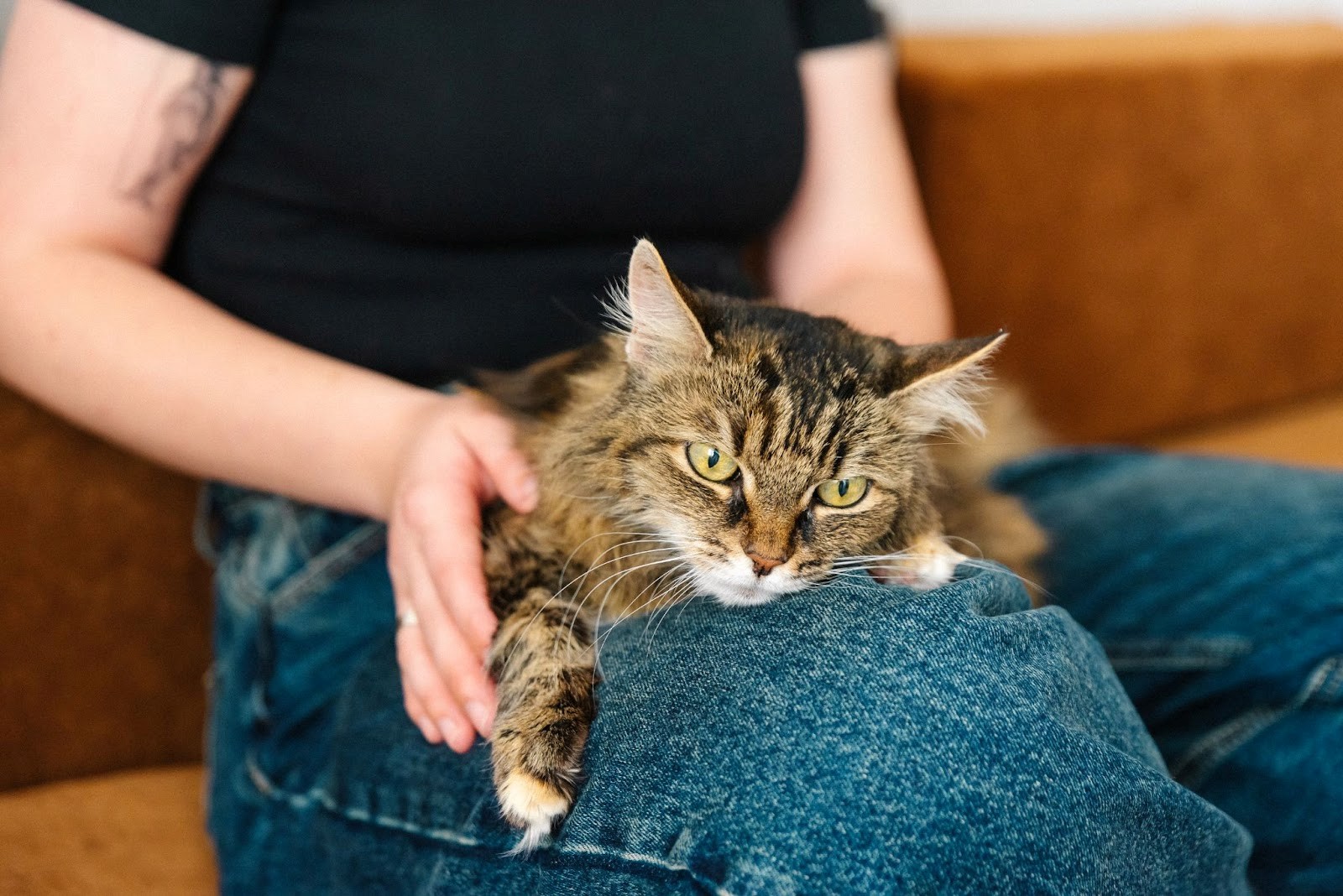 2-Домашний питомец Дарьи.jpg