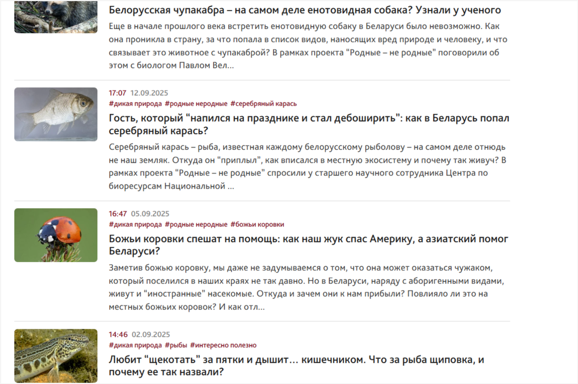 4-Заголовки рубрики Дикая природа.png