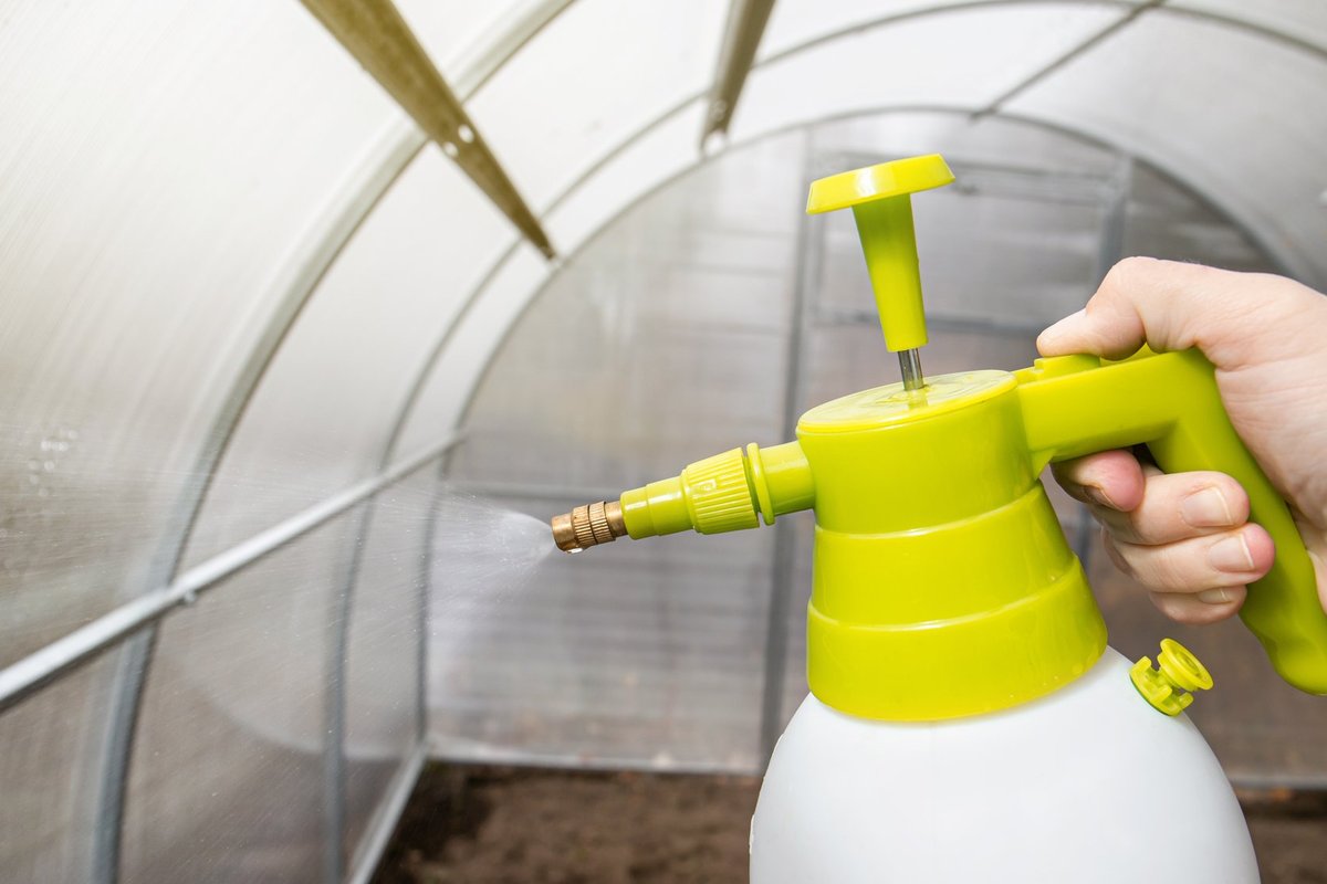 теплица 5.jpg