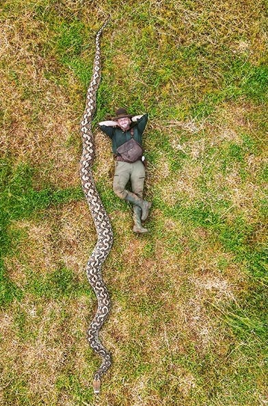 самая длинная змея