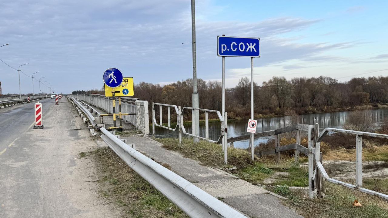 мост, Сож.jpg