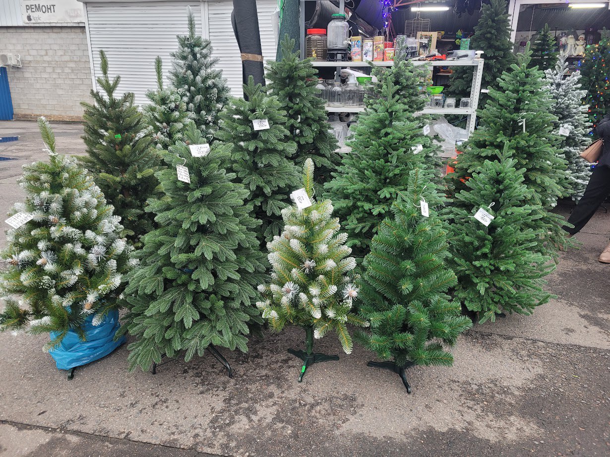 елки, комаровка елки, комаровка.jpg