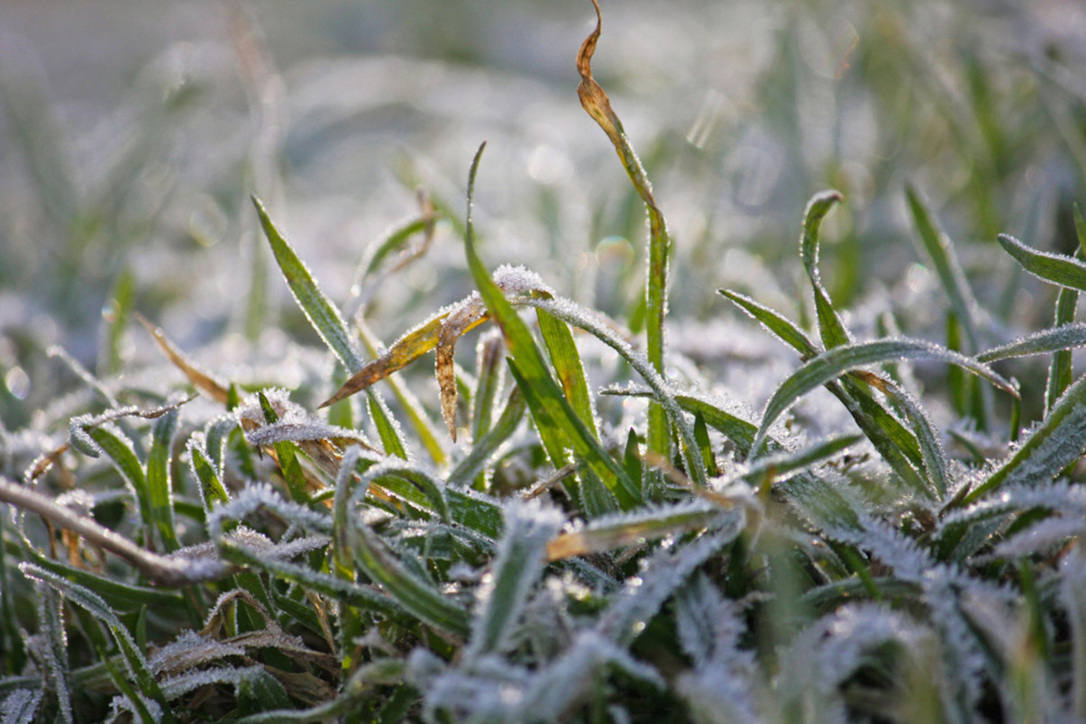 заморозки утром в апреле