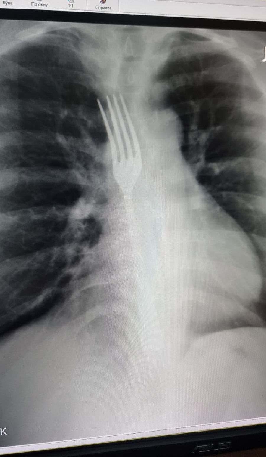 снимок, вилка снимок, вилка 1.jpg