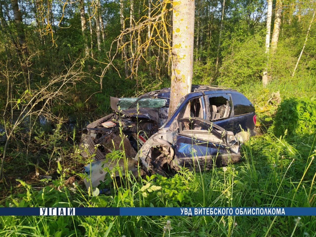 Под Городком разбился 32-летний водитель – Chrysler врезался в дерево |  СмартПресс