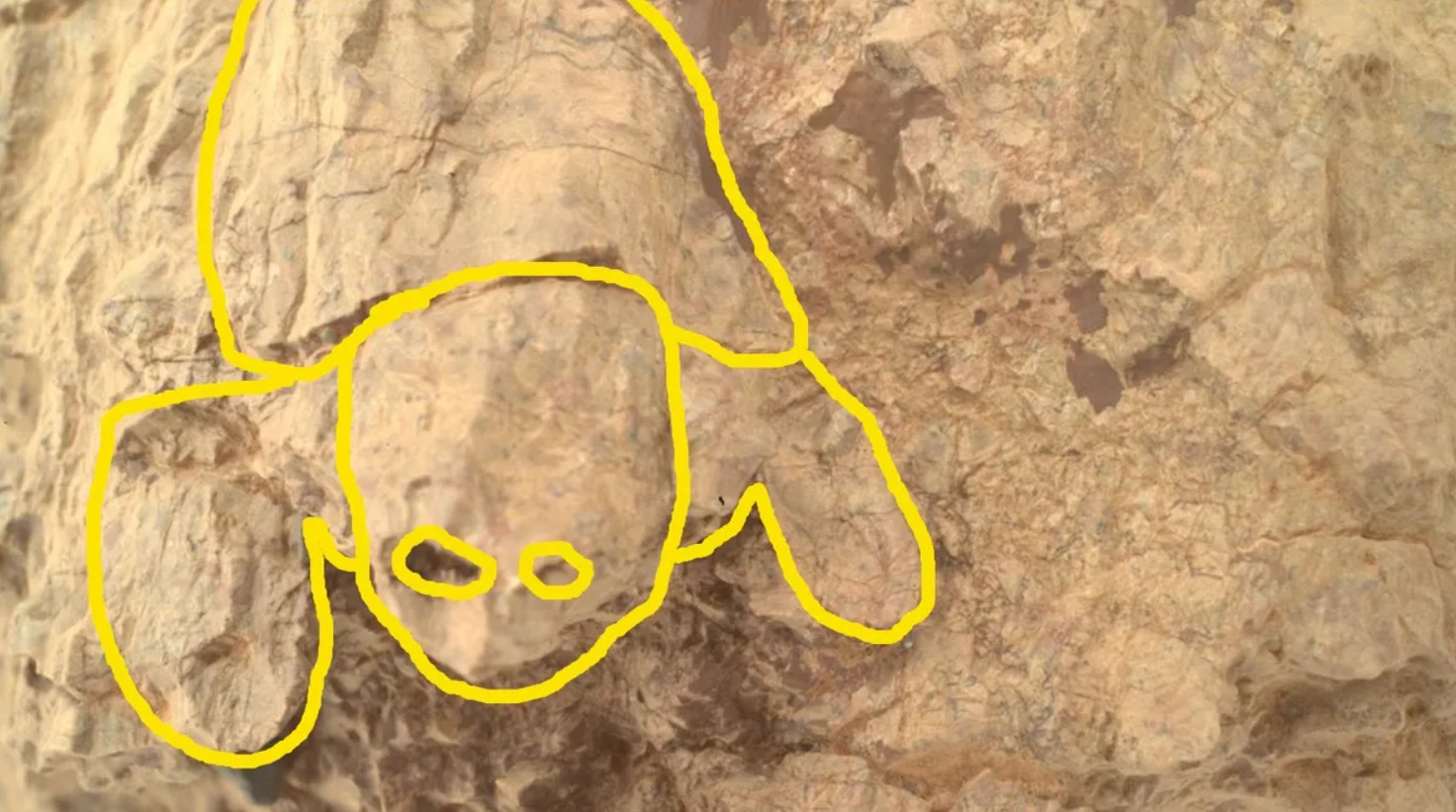 Каменная черепаха