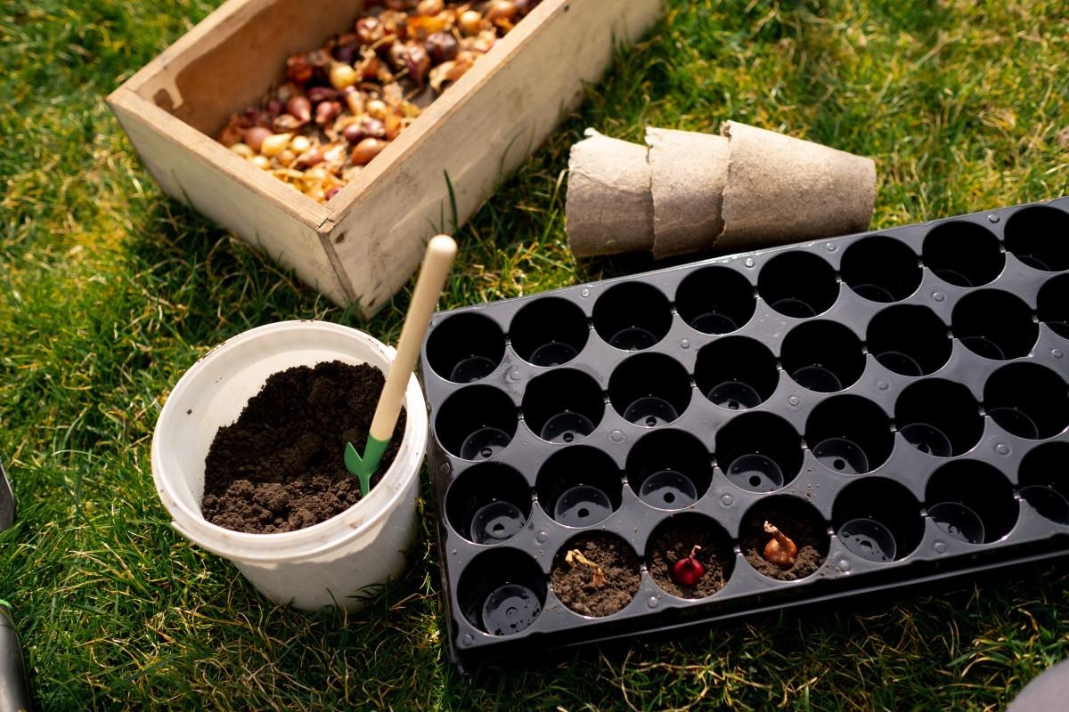 Лунный календарь садовода на март-2026 в Беларуси: когда сеять, пикировать и не тревожить землю