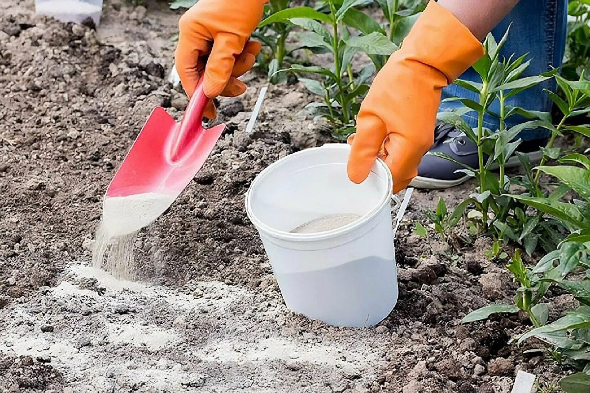 Органическое земледелие Органическое земледелие.jpg