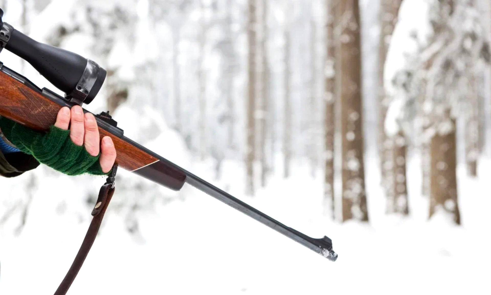 Охотничье ружьё