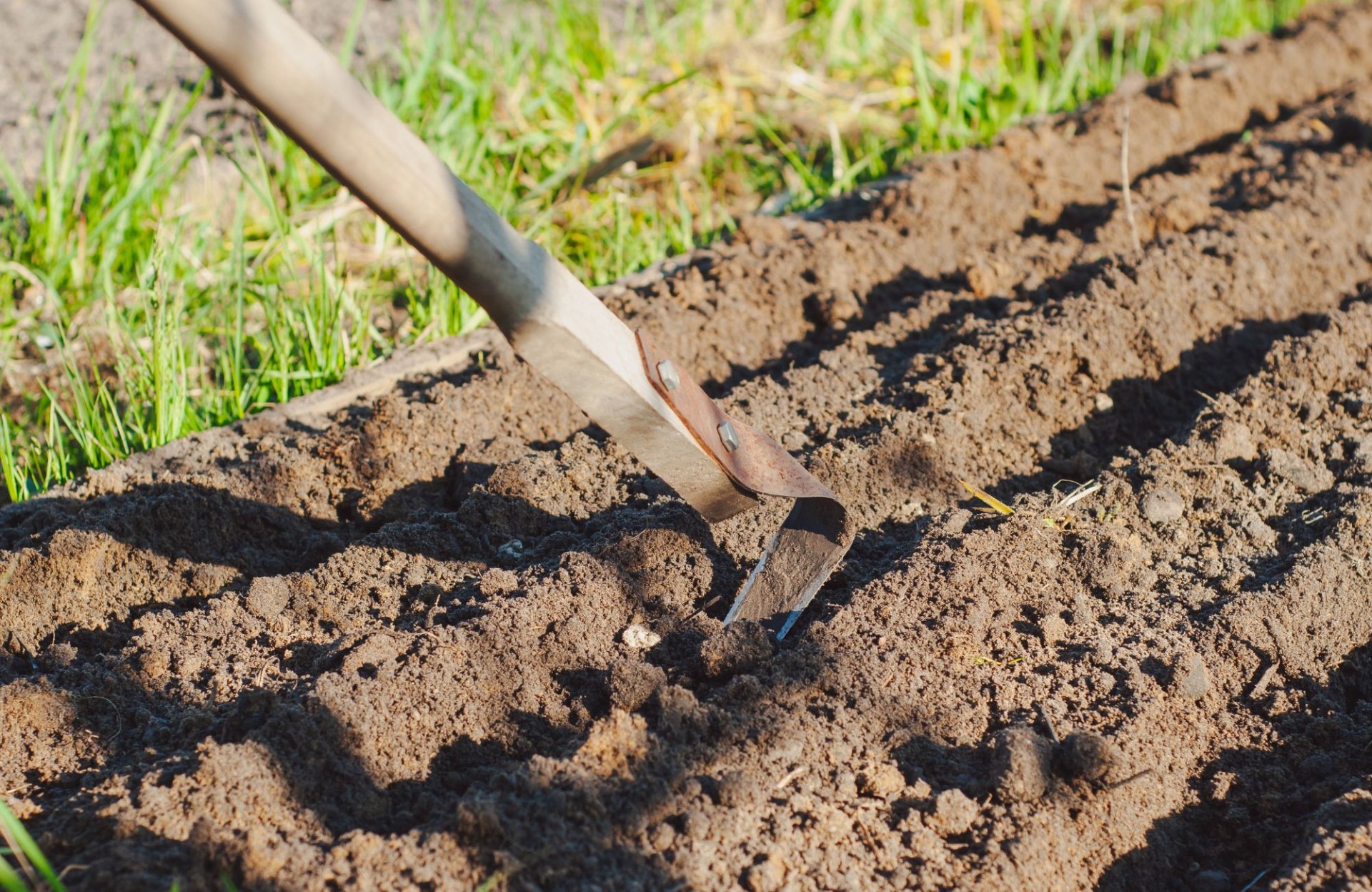 Садоводы-аллергики 6.jpg