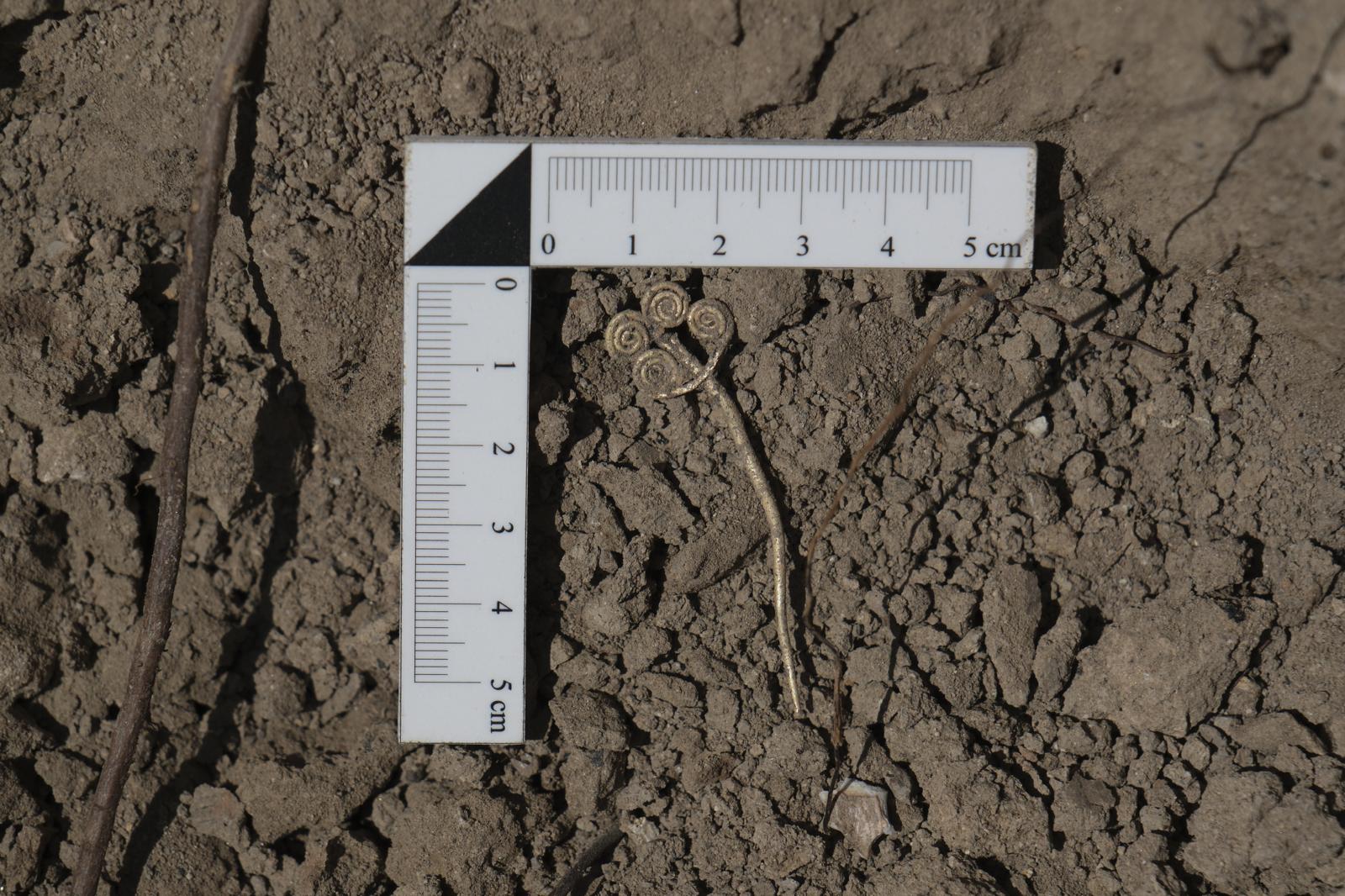 Брошь из Трои