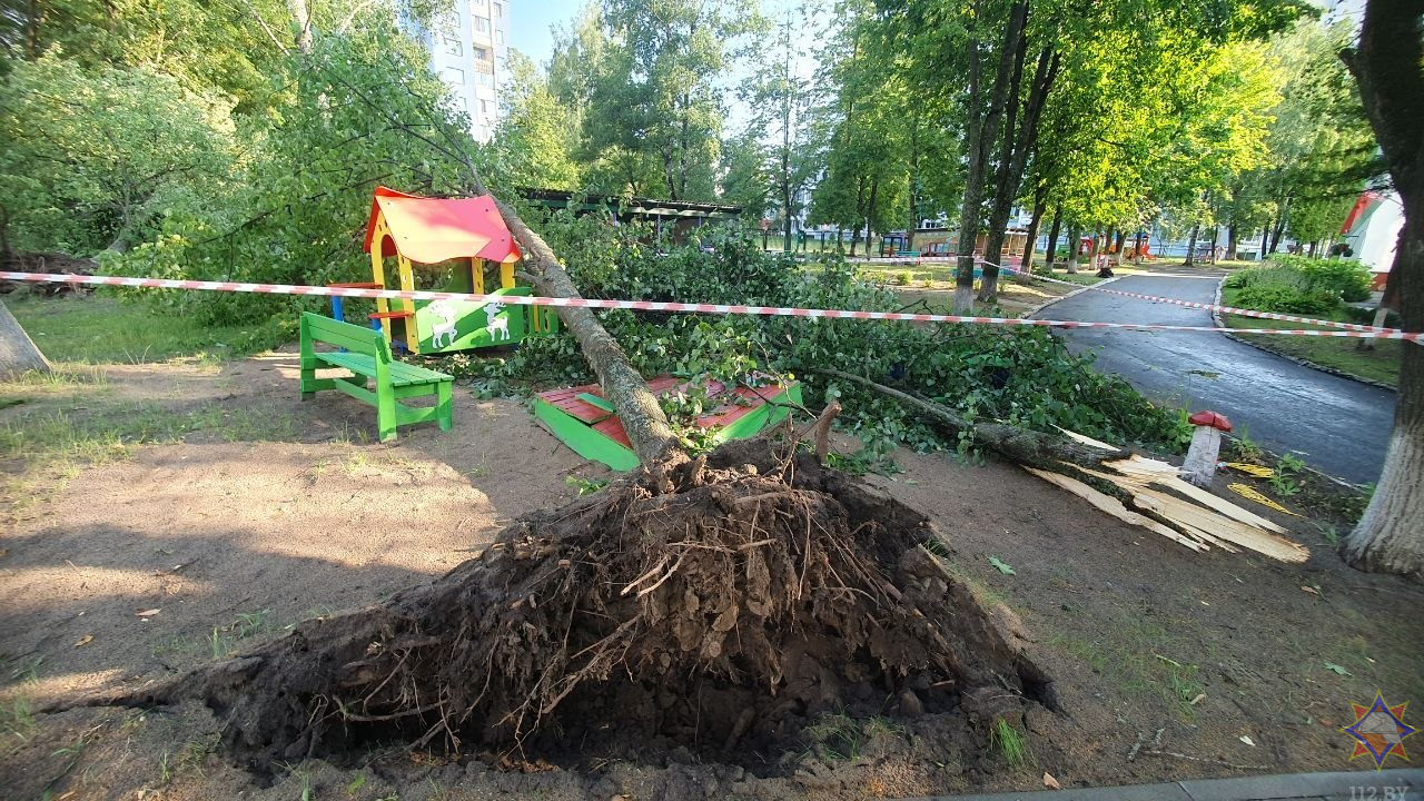 Непогода в Бобруйске 29 июня 2026 (4).jpg
